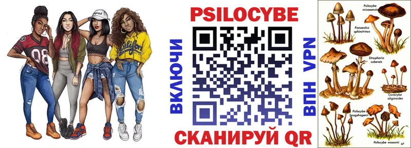 Псилоцибиновые грибы мицелий Вязьма