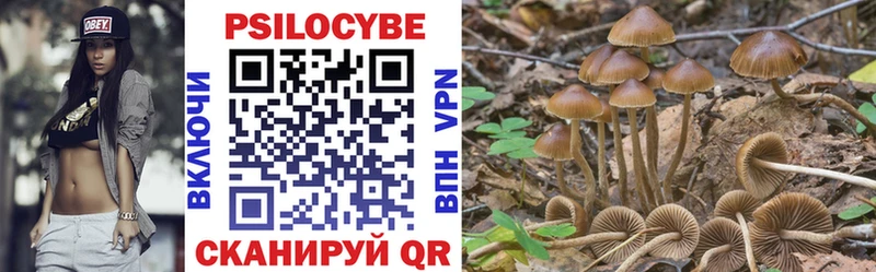 Галлюциногенные грибы мухоморы  Вязьма 